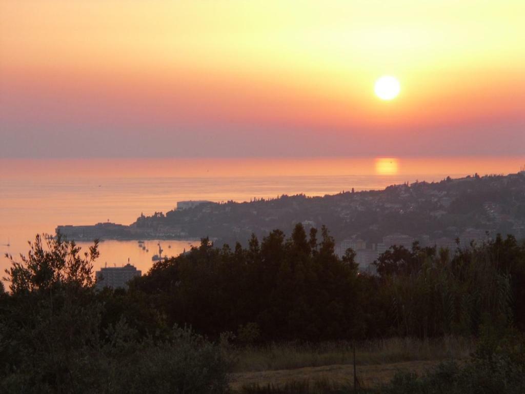 Apartment Perfect Sea View Lucija